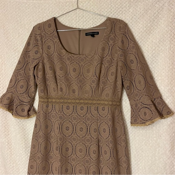 Womens Beige Taupe Lace Dress with Flounce Sleeves Elegant Size 14 - Picture 2 of 4
